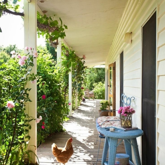 Meet your Posher, Priscilla - Picture 3 of 12